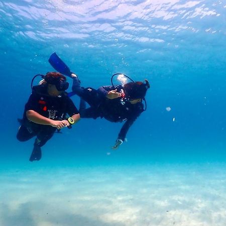 The Dearly Koh Tao Hostel-Padi 5 Star Dive Resort Eksteriør bilde