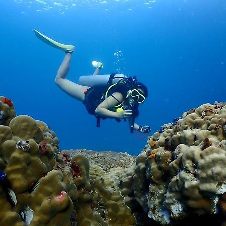 The Dearly Koh Tao Hostel-Padi 5 Star Dive Resort Eksteriør bilde