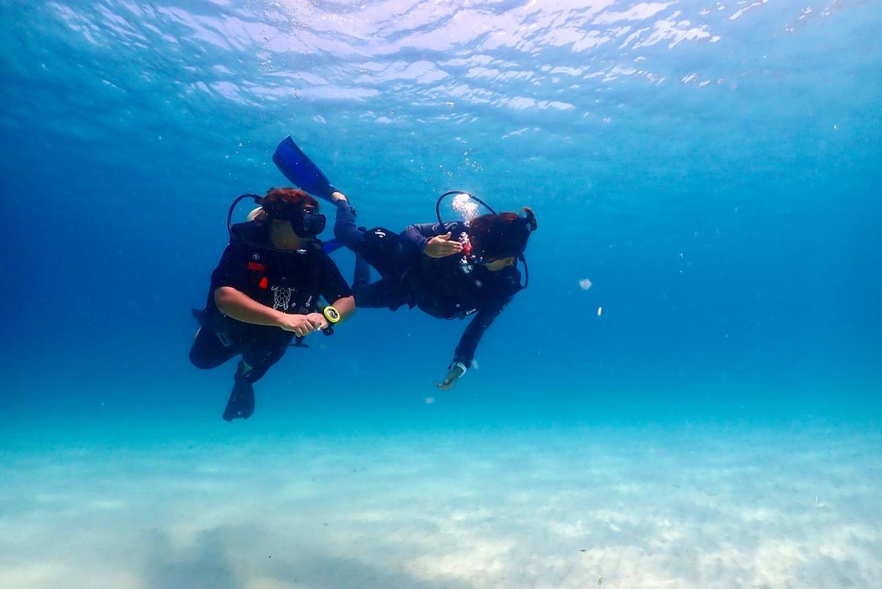 The Dearly Koh Tao Hostel-Padi 5 Star Dive Resort Eksteriør bilde