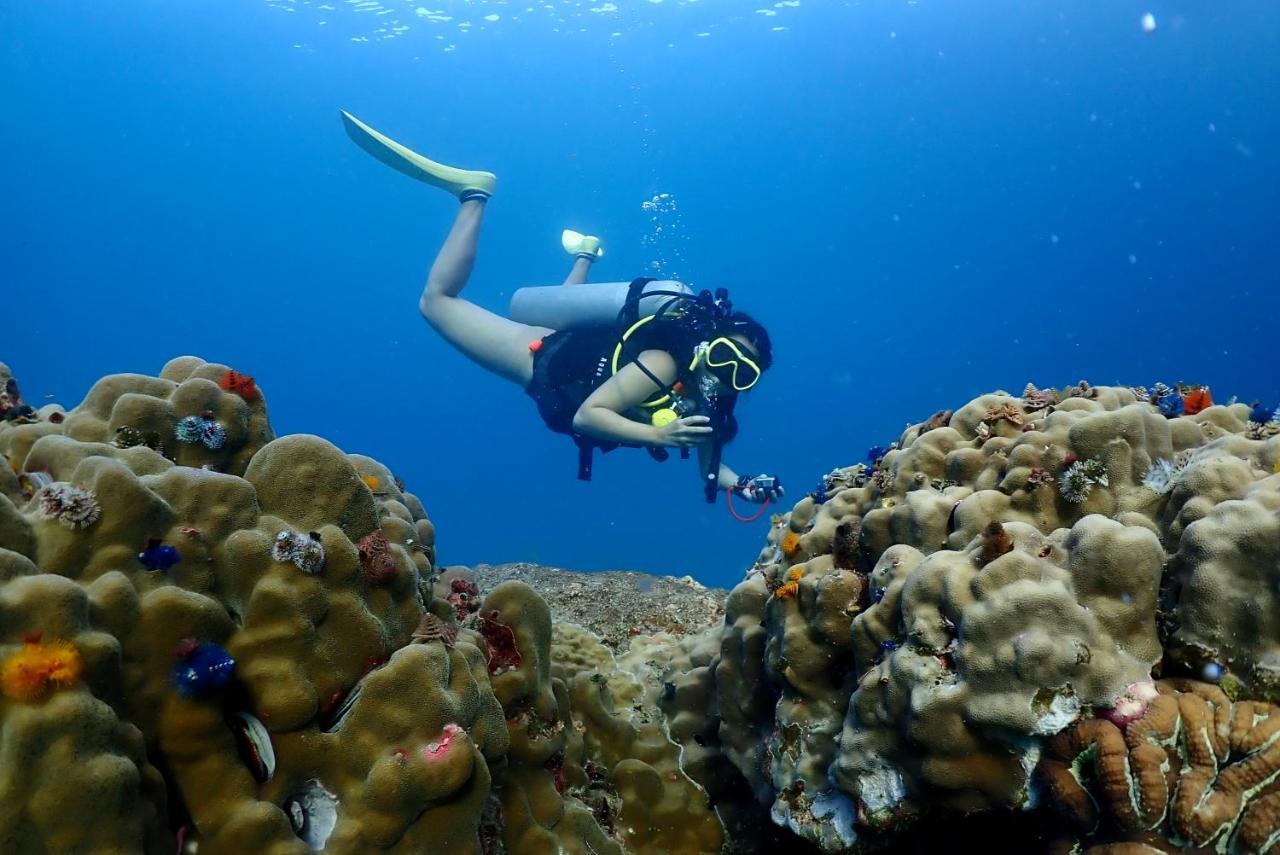 The Dearly Koh Tao Hostel-Padi 5 Star Dive Resort Eksteriør bilde