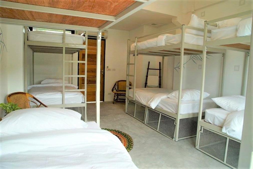 The Dearly Koh Tao Hostel-Padi 5 Star Dive Resort Eksteriør bilde